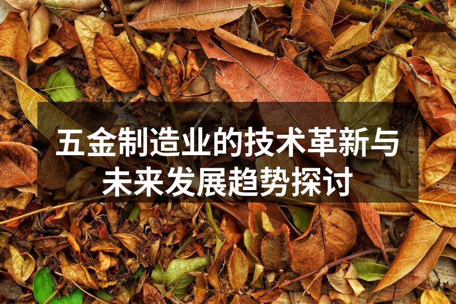 五金制造业的技术革新与未来发展趋势探讨